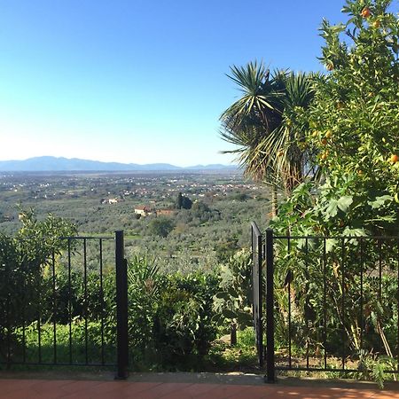 Agriturismo Podere Rondinaio Lamporecchio Exteriér fotografie