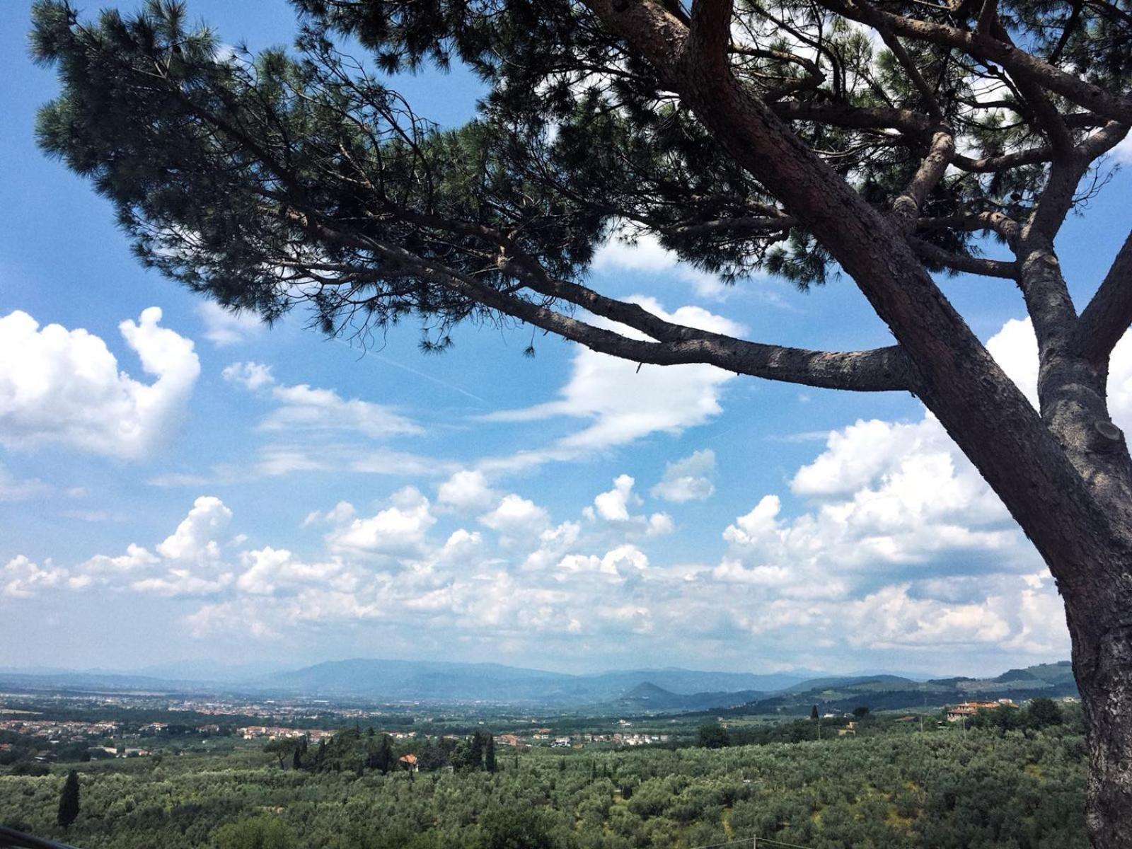 Agriturismo Podere Rondinaio Lamporecchio Exteriér fotografie