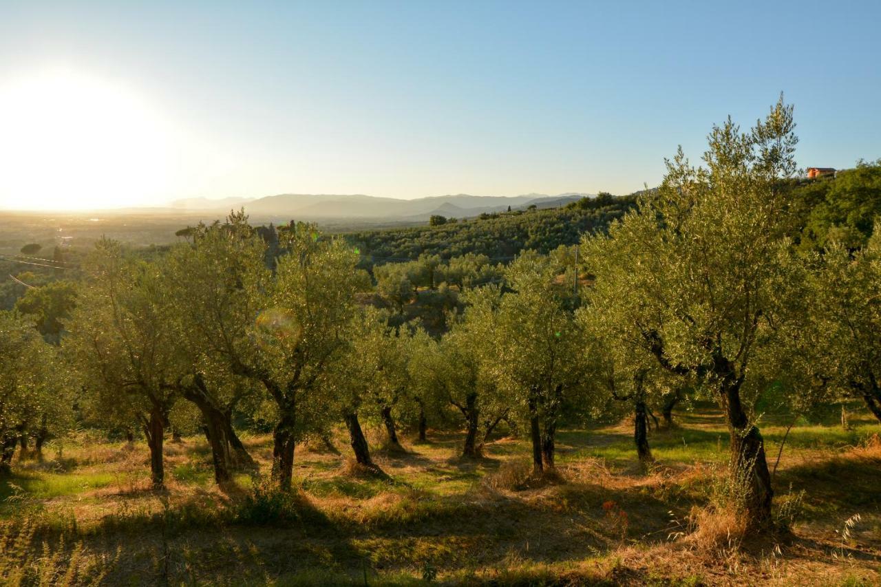 Agriturismo Podere Rondinaio Lamporecchio Exteriér fotografie